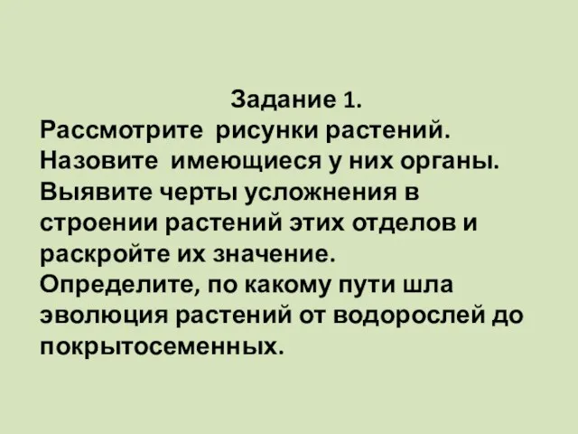 Задание 1. Рассмотрите рисунки растений. Назовите имеющиеся у них органы. Выявите черты