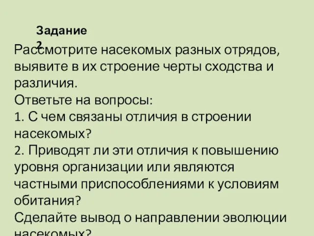 Рассмотрите насекомых разных отрядов, выявите в их строение черты сходства и различия.