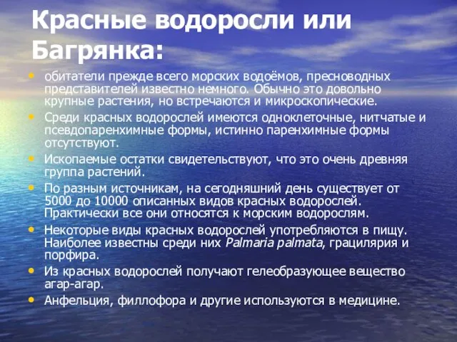 Красные водоросли или Багрянка: обитатели прежде всего морских водоёмов, пресноводных представителей известно