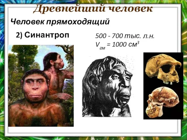 Древнейший человек 500 - 700 тыс. л.н. Vгм = 1000 см3 Человек прямоходящий 2) Синантроп
