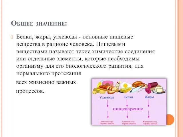 Общее значение: Белки, жиры, углеводы - основные пищевые вещества в рационе человека.