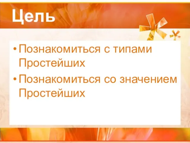 Цель Познакомиться с типами Простейших Познакомиться со значением Простейших