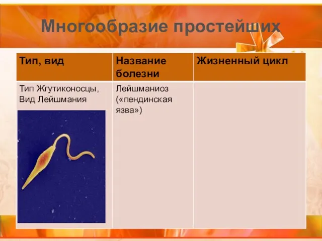 Многообразие простейших