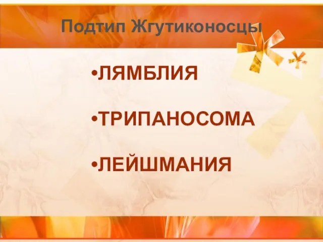 Подтип Жгутиконосцы