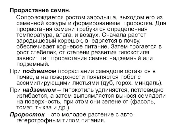 Прорастание семян. Сопровождается ростом зародыша, выходом его из семенной кожуры и формированием