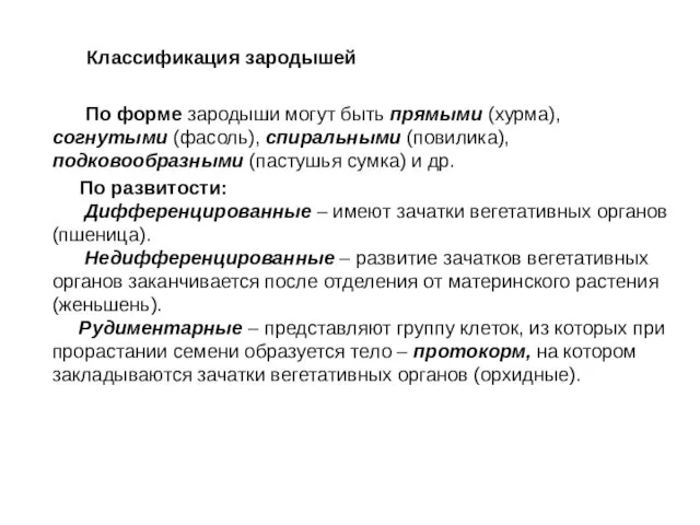 Классификация зародышей По форме зародыши могут быть прямыми (хурма), согнутыми (фасоль), спиральными