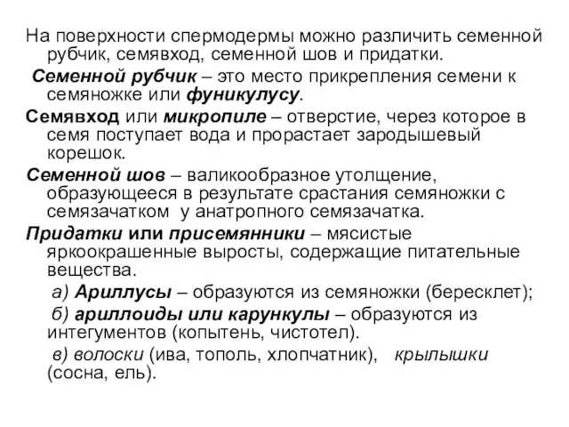 На поверхности спермодермы можно различить семенной рубчик, семявход, семенной шов и придатки.