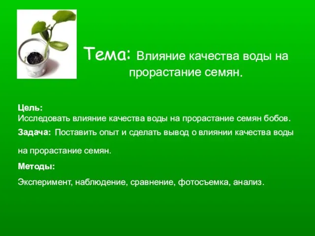 Тема: Влияние качества воды на прорастание семян. Цель: Исследовать влияние качества воды