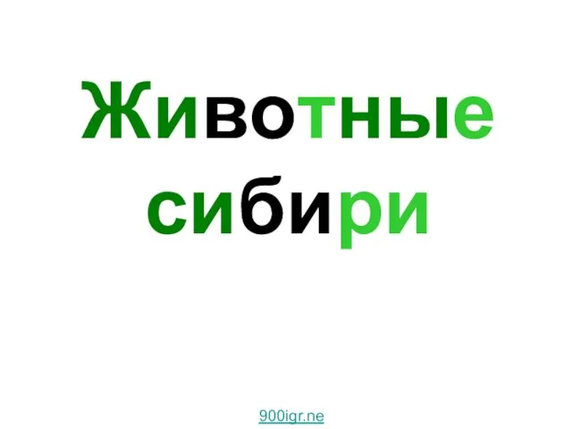 Животные сибири 900igr.net