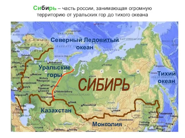 Сибирь – часть россии, занимающая огромную территорию от уральских гор до тихого