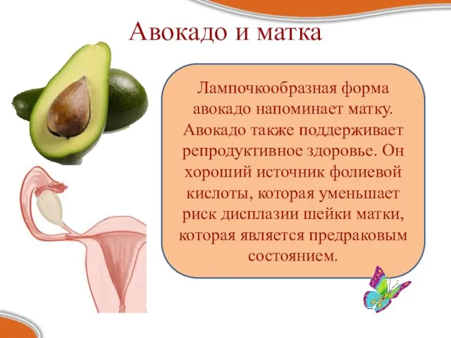 Авокадо и матка Лампочкообразная форма авокадо напоминает матку. Авокадо также поддерживает репродуктивное