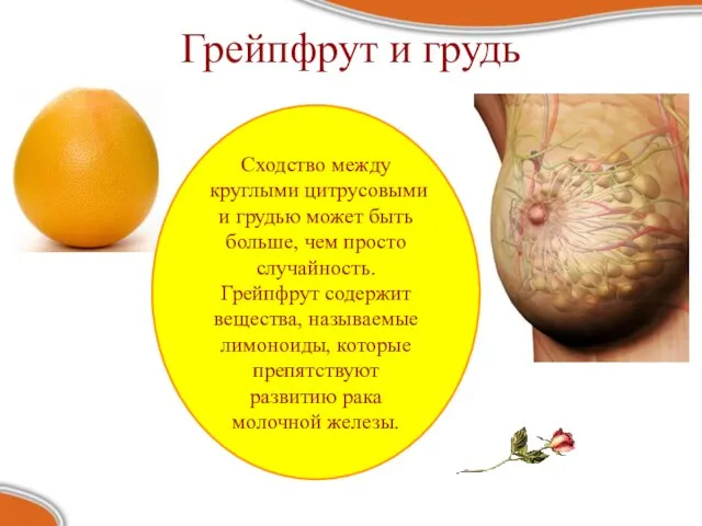 Грейпфрут и грудь Сходство между круглыми цитрусовыми и грудью может быть больше,