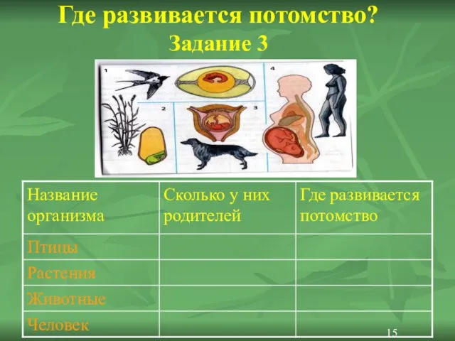 Где развивается потомство? Задание 3 15