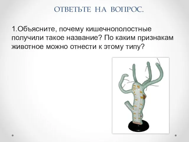 1.Объясните, почему кишечнополостные получили такое название? По каким признакам животное можно отнести