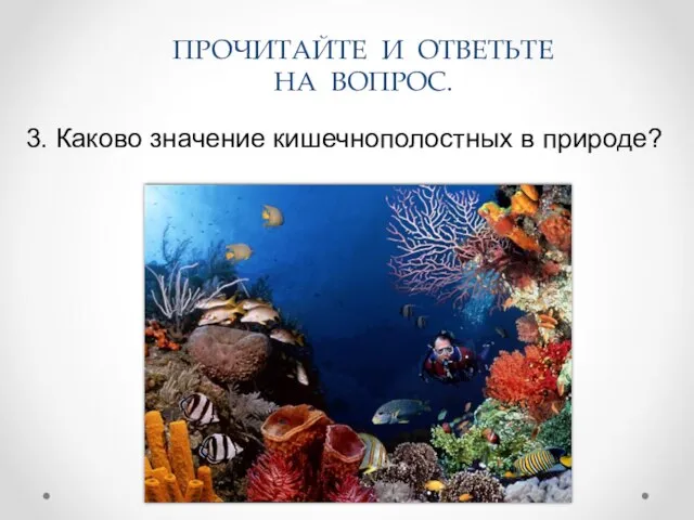 3. Каково значение кишечнополостных в природе? ПРОЧИТАЙТЕ И ОТВЕТЬТЕ НА ВОПРОС.