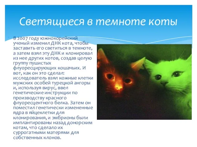 В 2007 году южнокорейский ученый изменил ДНК кота, чтобы заставить его светиться