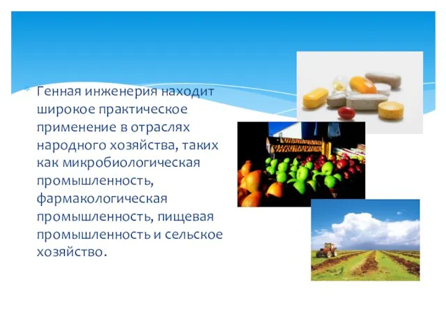 Генная инженерия находит широкое практическое применение в отраслях народного хозяйства, таких как