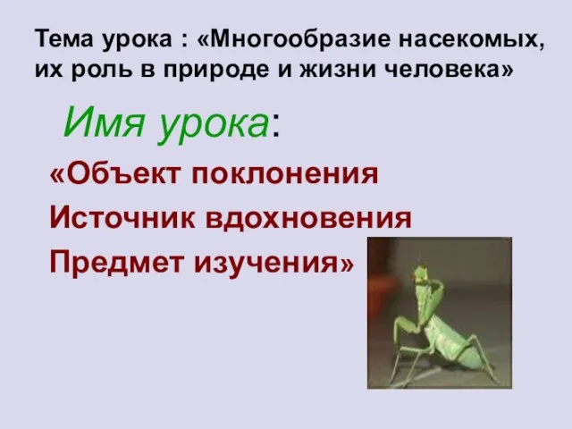 Тема урока : «Многообразие насекомых, их роль в природе и жизни человека»