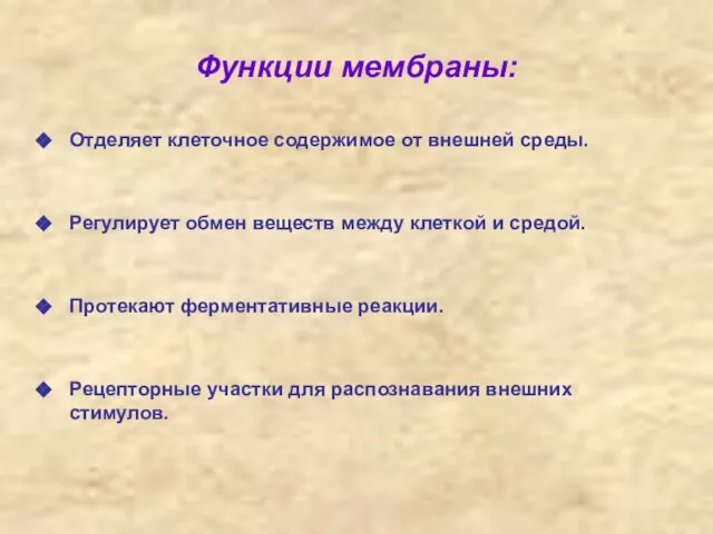 Функции мембраны: Отделяет клеточное содержимое от внешней среды. Регулирует обмен веществ между