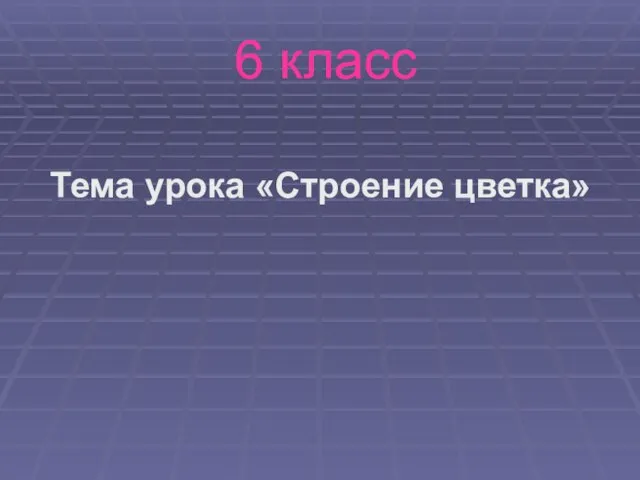 6 класс Тема урока «Строение цветка»