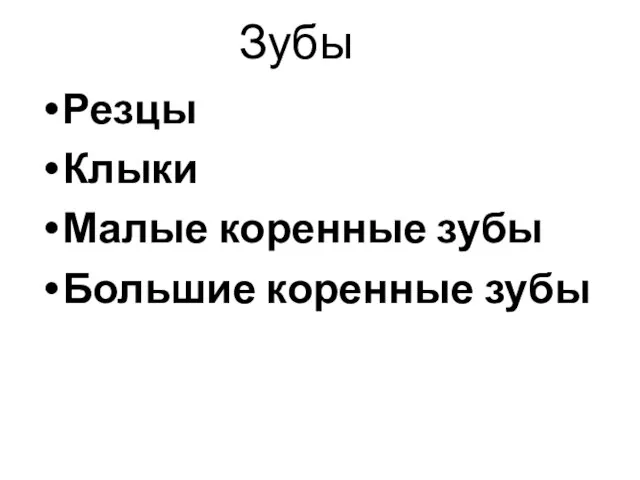 Зубы Резцы Клыки Малые коренные зубы Большие коренные зубы