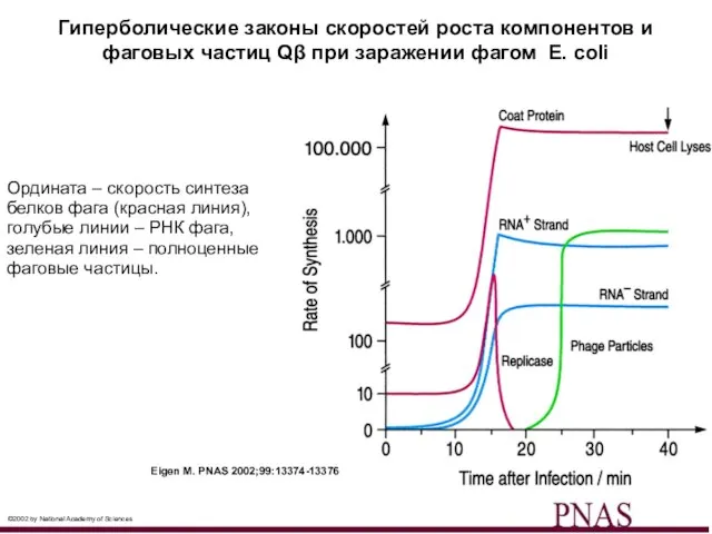Гиперболические законы скоростей роста компонентов и фаговых частиц Qβ при заражении фагом
