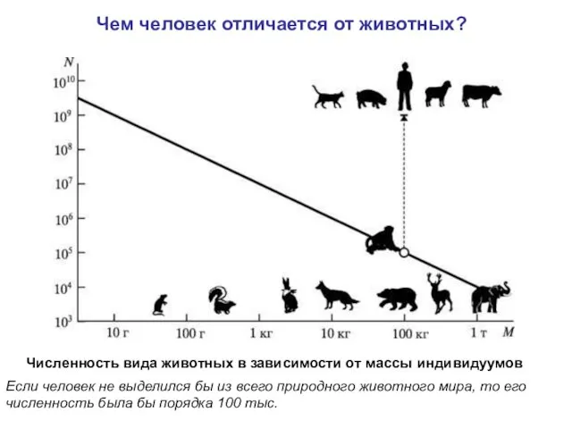 Численность вида животных в зависимости от массы индивидуумов Если человек не выделился