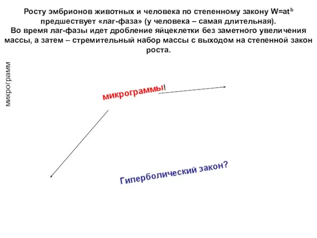 Росту эмбрионов животных и человека по степенному закону W=atb предшествует «лаг-фаза» (у