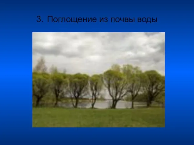 3. Поглощение из почвы воды