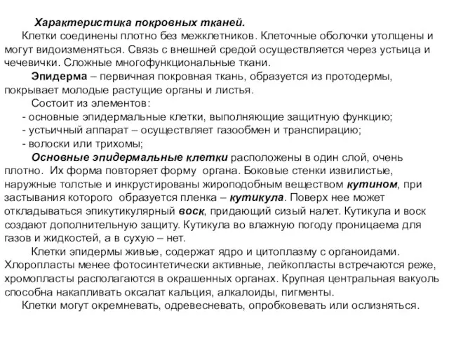 Характеристика покровных тканей. Клетки соединены плотно без межклетников. Клеточные оболочки утолщены и