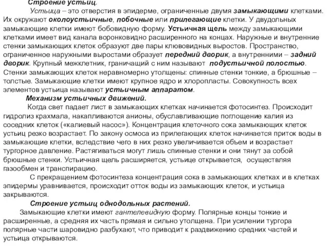 Строение устьиц. Устьица – это отверстия в эпидерме, ограниченные двумя замыкающими клетками.