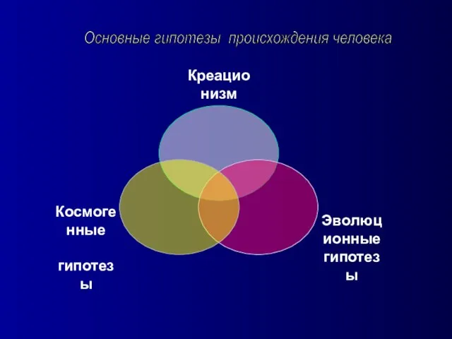 Основные гипотезы происхождения человека