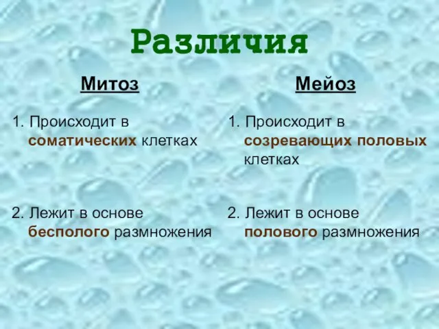 Различия Митоз Мейоз 1. Происходит в соматических клетках 1. Происходит в созревающих