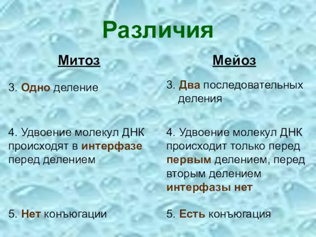 Различия Мейоз 3. Одно деление Митоз 3. Два последовательных деления 4. Удвоение