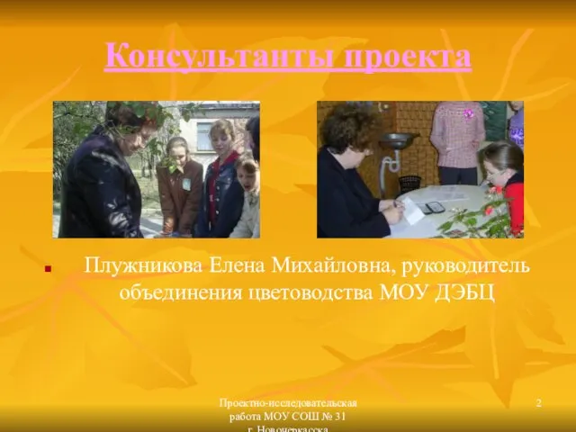 Проектно-исследовательская работа МОУ СОШ № 31 г. Новочеркасска Консультанты проекта Плужникова Елена