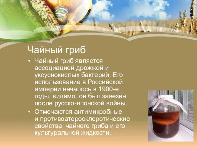 Чайный гриб Чайный гриб является ассоциацией дрожжей и уксуснокислых бактерий. Его использование