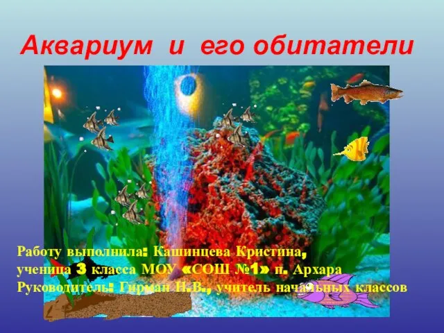 Аквариум и его обитатели Работу выполнила: Кашинцева Кристина, ученица 3 класса МОУ