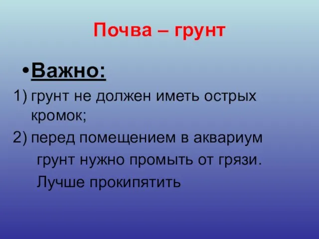 Почва – грунт Важно: грунт не должен иметь острых кромок; перед помещением