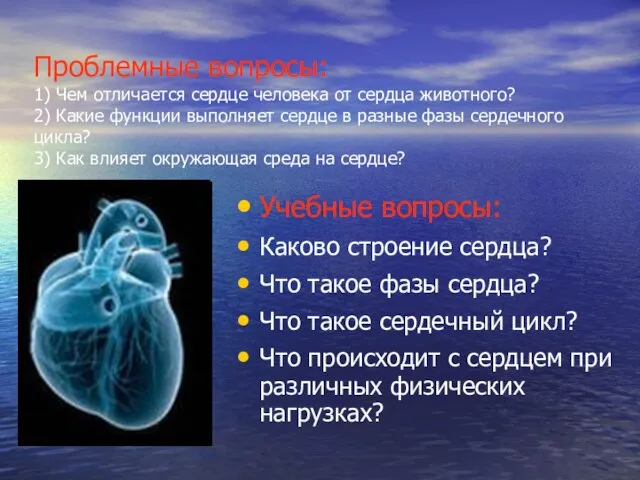 Проблемные вопросы: 1) Чем отличается сердце человека от сердца животного? 2) Какие