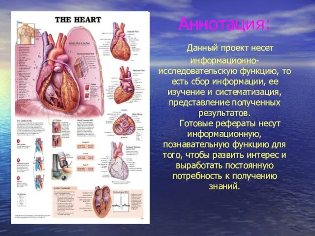 Аннотация: Данный проект несет информационно- исследовательскую функцию, то есть сбор информации, ее