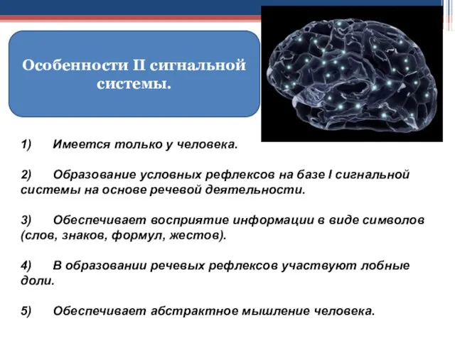 Особенности II сигнальной системы. 1) Имеется только у человека. 2) Образование условных