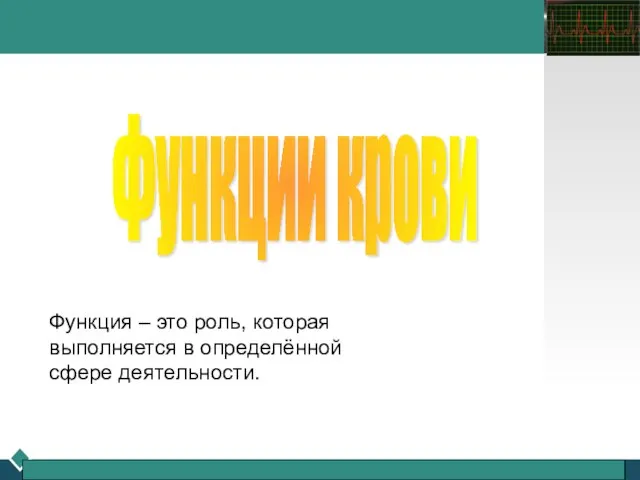 www.themegallery.com Company Logo Функции крови Функция – это роль, которая выполняется в определённой сфере деятельности.