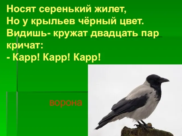 Носят серенький жилет, Но у крыльев чёрный цвет. Видишь- кружат двадцать пар