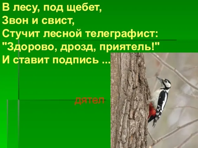 В лесу, под щебет, Звон и свист, Стучит лесной телеграфист: "Здорово, дрозд,