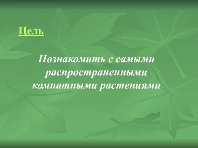 Познакомить с самыми распространенными комнатными растениями Цель