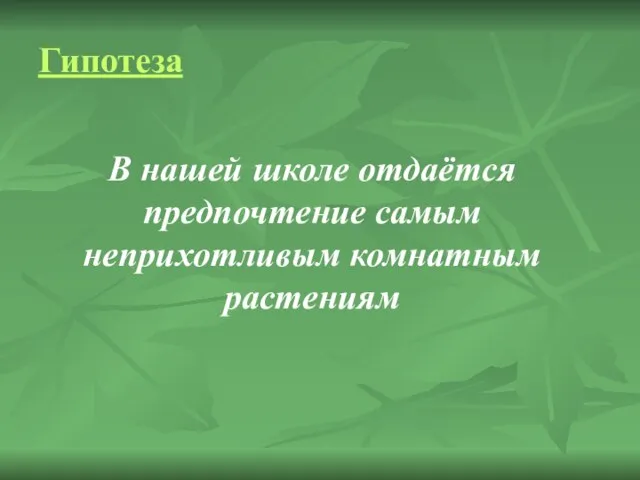 Гипотеза В нашей школе отдаётся предпочтение самым неприхотливым комнатным растениям