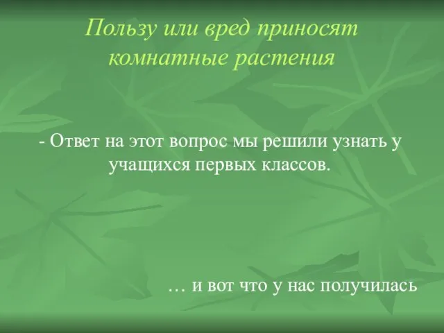 Пользу или вред приносят комнатные растения - Ответ на этот вопрос мы