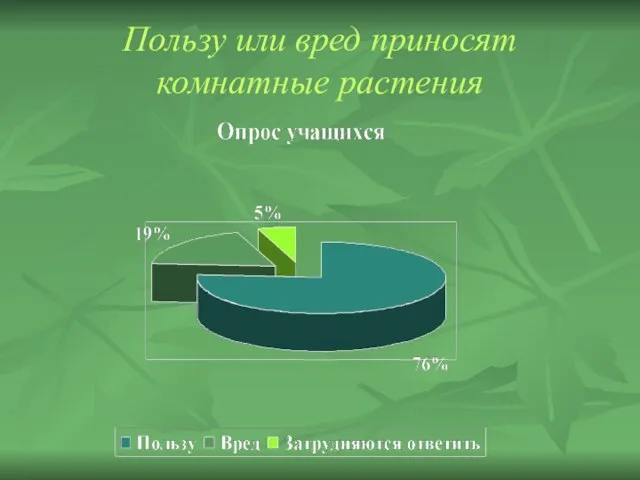 Пользу или вред приносят комнатные растения