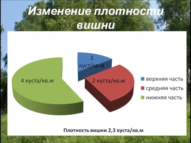 Изменение плотности вишни