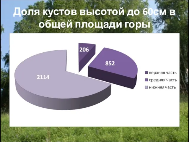 Доля кустов высотой до 60см в общей площади горы